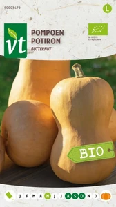 VT POMPOEN BUTTERNUT BE-BIO-01