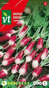 VT RADIJS FLAMBOYANT