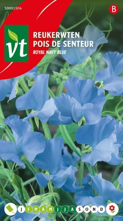 VT REUKERWT DONKERBLAUW