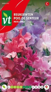 VT REUKERWT PASTEL SUNSET