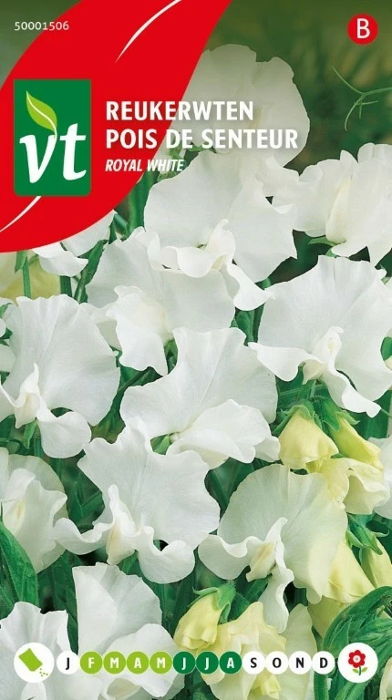 VT REUKERWT WIT