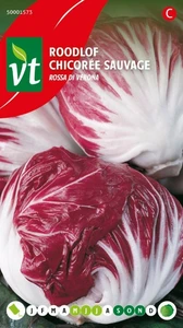 VT ROODLOF ROSSA DI VERONA