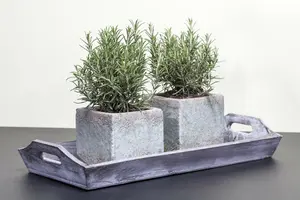 VT ROZEMARIJN - afbeelding 4