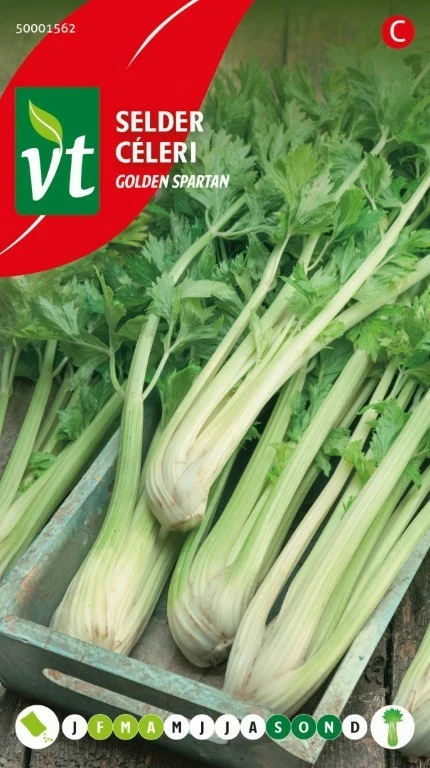 VT SELDER GOLDEN SPARTAN