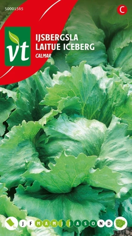 VT SLA IJSBERGSLA CALMAR