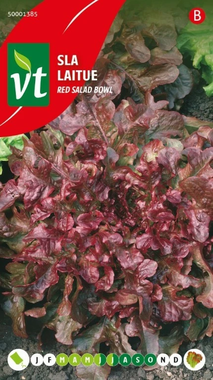 VT SLA RED SALAD BOWL