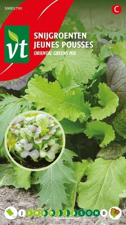 VT SLA SNIJGROENTEN MIX ORIENTAL GREENS