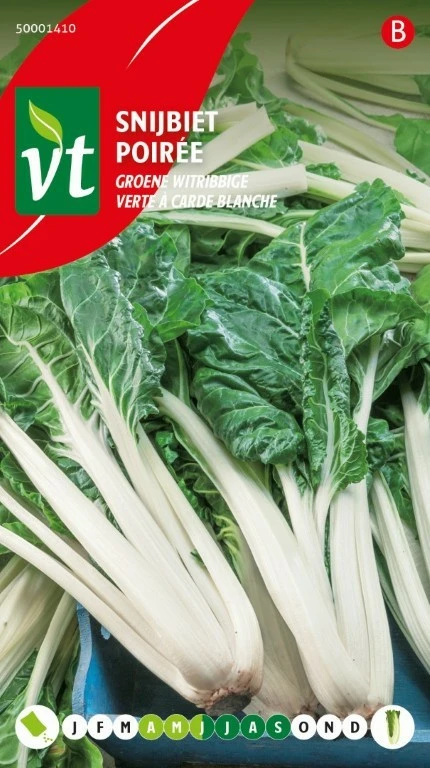 VT SNIJBIET GROENE WITRIBBIGE