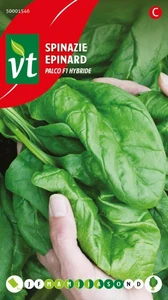 VT SPINAZIE PALCO F1 HYBRIDE