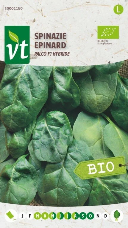 VT SPINAZIE PALCO F1 HYBRIDE BE-BIO-01