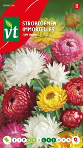 VT STROBLOEMEN TOM THUMB