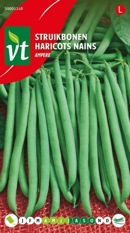 VT STRUIKBONEN AMPERE