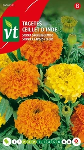 VT TAGETES SIERRA ORANJE EN GEEL