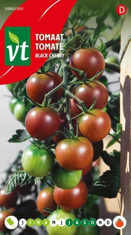 VT TOMAAT BLACK CHERRY