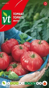 VT TOMAAT BRUTUS