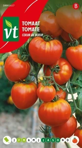 VT TOMAAT COEUR DE BOEUF
