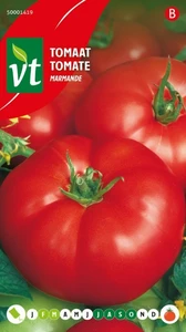 VT TOMAAT MARMANDE