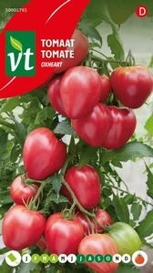 VT TOMAAT OXHEART