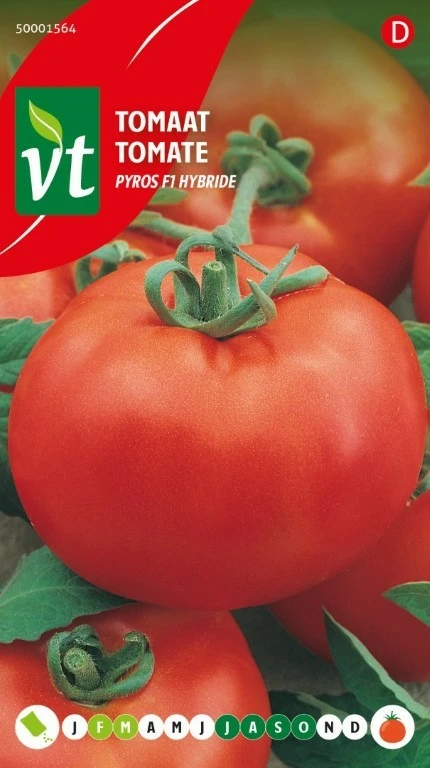 VT TOMAAT PYROS F1 HYBRIDE