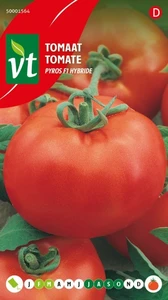 VT TOMAAT PYROS F1 HYBRIDE