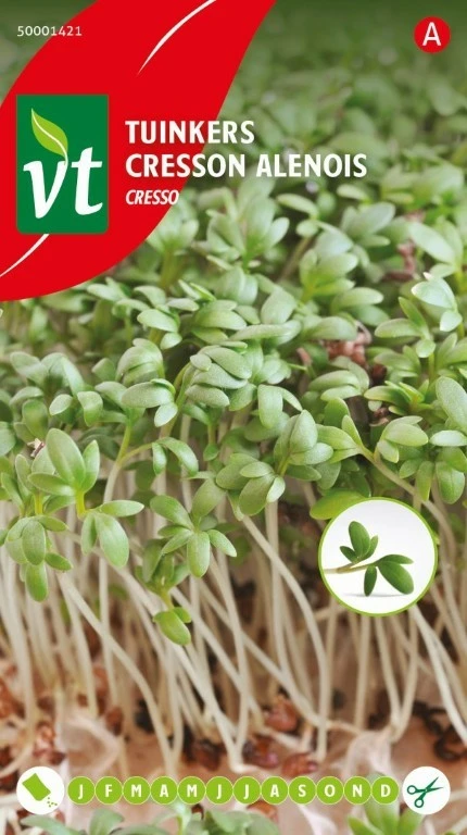 VT TUINKERS CRESSO (Fijngekrulde)