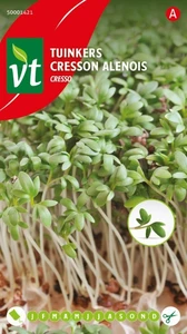 VT TUINKERS CRESSO (Fijngekrulde)