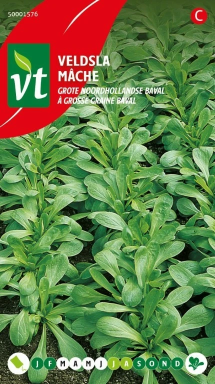 VT VELDSLA GROTE NOORDHOLLANDSE BAVAL