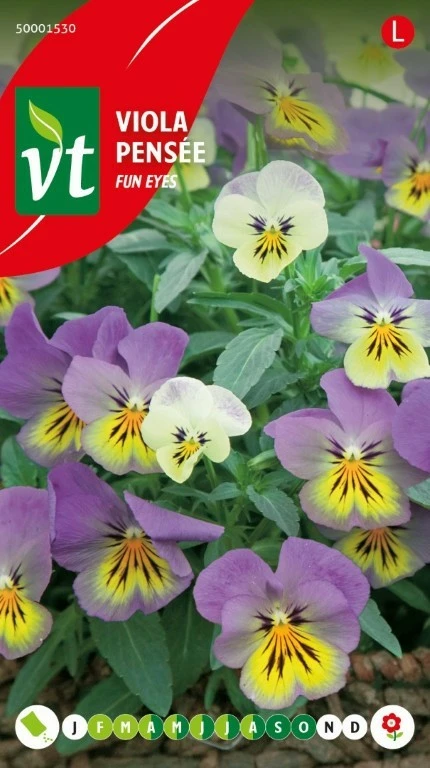 VT VIOLA HYBRID FUN EYES YELLOW