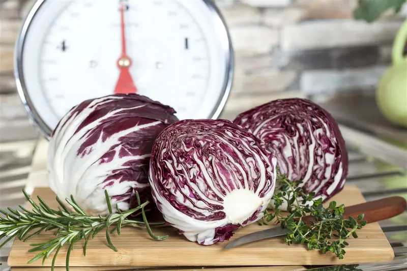 VT WITLOOF BINGO F1 - afbeelding 2