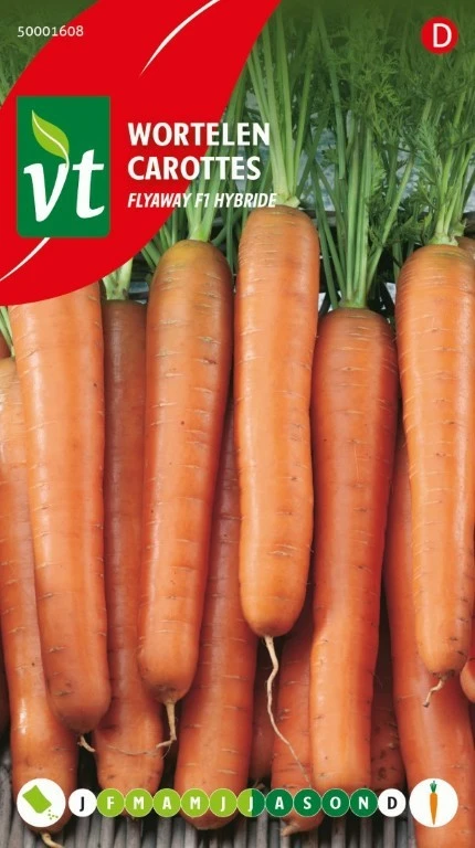 VT WORTELEN FLYAWAY F1 HYBRIDE