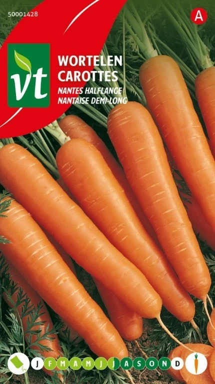 VT WORTELEN NANTES HALFLANGE Verbeterde