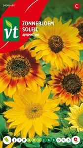 VT ZONNEBLOEM AUTUMN TIME