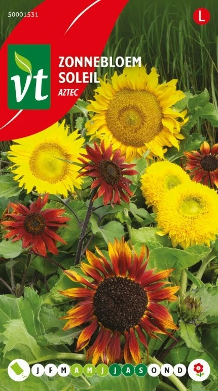 VT ZONNEBLOEM AZTEC MIX
