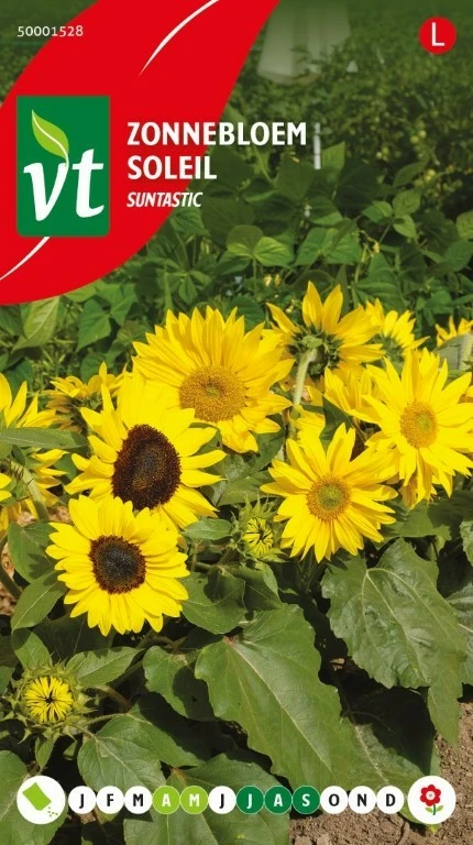 VT ZONNEBLOEM SUNTASTIC
