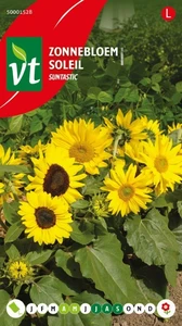 VT ZONNEBLOEM SUNTASTIC