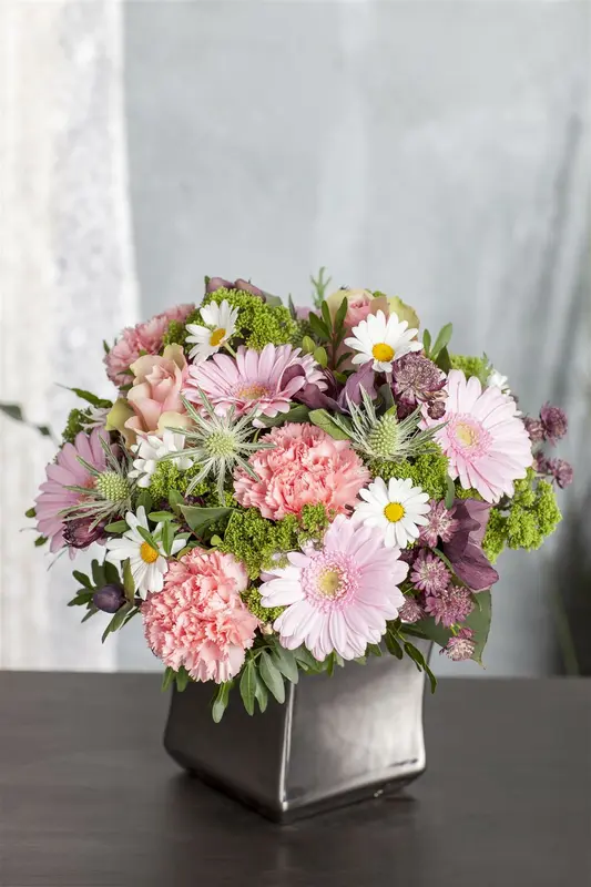 leucanthemum vulgare (chrysanth. leucanth.) P9 - afbeelding 1