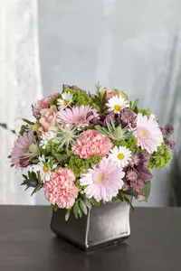 leucanthemum vulgare (chrysanth. leucanth.) P9 - afbeelding 5