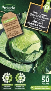 'witte kool ''quintal d'alsace'''