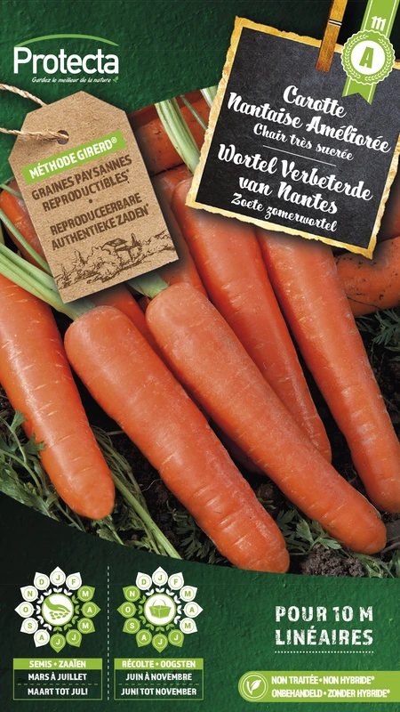 wortel verbeterde van nantes 3