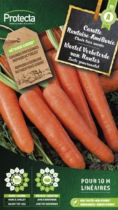 wortel verbeterde van nantes 3