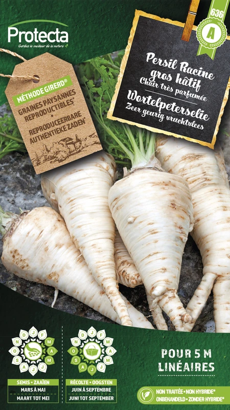wortelpeterselie 