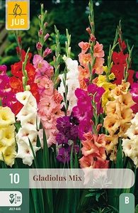 x 10 gladiolus mix 12/14