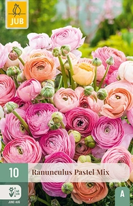 x 10 ranunculus pastel mix 6/7