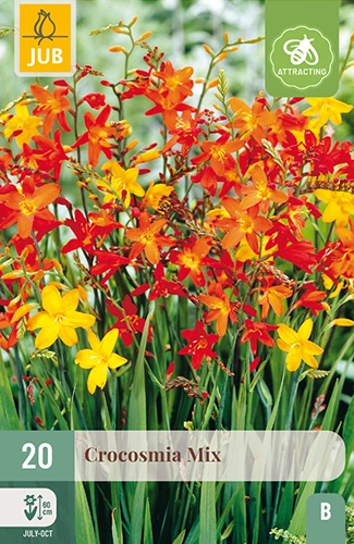 x 20 crocosmia mix 6/7