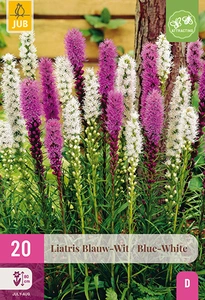 x 20 liatris blauw - wit 10/12