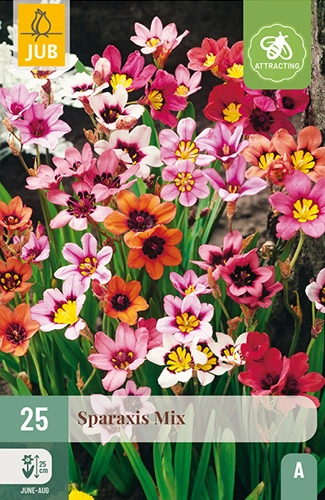 x 25 sparaxis mix 4/5