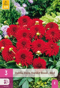 x 3 dahlia deco border rood i
