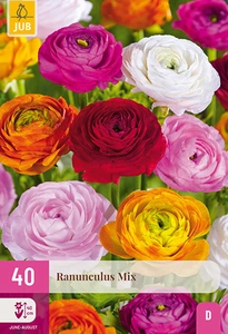 x 40 ranunculus mix 5/6