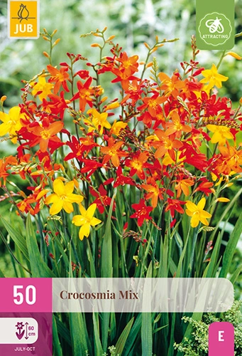 x 50 crocosmia mix 6/7