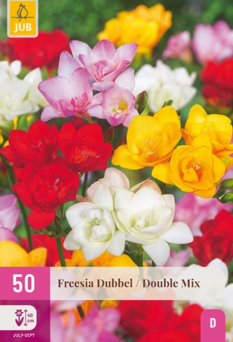 x 50 freesia dubbel mix 5/+